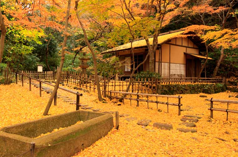 三溪園