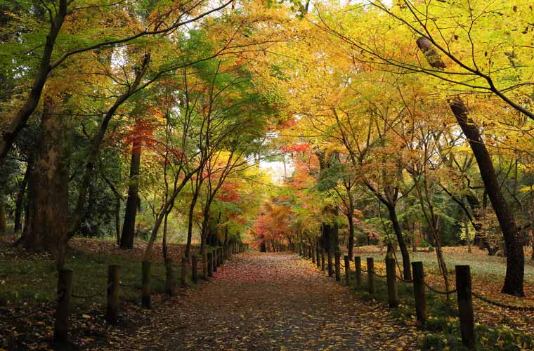 平林寺