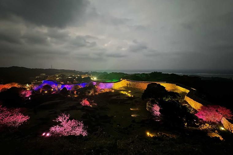 沖縄の桜前線は大自然と融合し世界遺産ではライトアップ!特別なひとときを「琉球寒緋桜」で体験(本部町・今帰仁村)